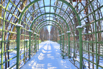 Alley in Summer Garden at winter in St.Petersburg.