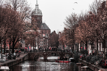 Fototapeta premium amsterdam in netherlands