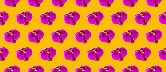 Pattern Beautiful purple Phalaenopsis orchid flowers on bright yellow background. Tropical flower pattern. Pink orchid background. Holiday, Women's Day, Flower Card flat lay. Creative floral banner