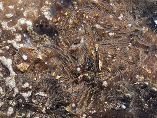 The texture of the land in the ice. Brown earth in winter. Land in the ice. Sunny and frosty day.