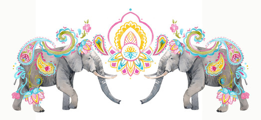 Watercolor elephant illustration