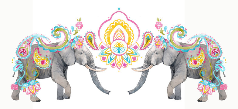 Watercolor elephant illustration