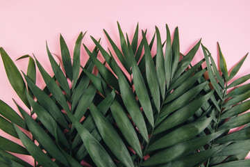 Tropical palm leaf on yellow background. Summer concept. Flat lay, top view, copy space