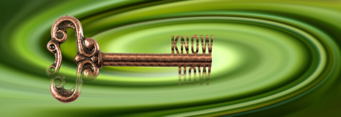 Fototapeta premium key as a symbol of know-how on a green background