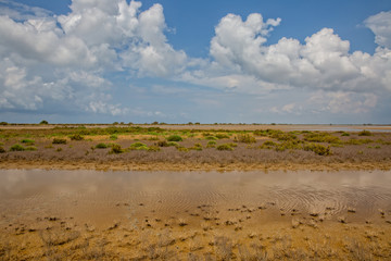The colors of the Camargue. Dunes, lakes and ponds, grasslands, prairie and alluvial vegetation dominate the landscape, Étang du Fangassier, Camargue, Provence, Bouches-du-Rhône, France