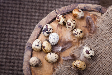 Easter background - quail eggs and feathers on the aged wooden table