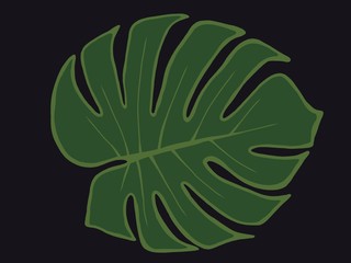 raster illustration of green leaf monstera on a black background