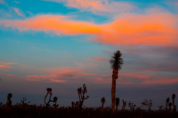 Atardecer en México