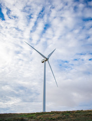 Fototapeta premium Wind turbine field on the hill for renewable energy source