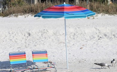Inviting chairs and umbrellas on the beach