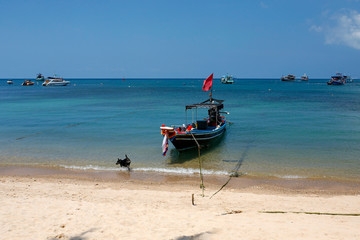 colorful longtail boats near Mae Haad Pier on Koh Tao, Thailand