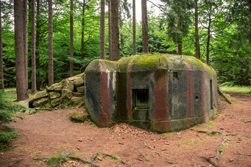 Camouflaged bunker WWII in the dark forrest