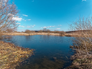 View of a small lake in the park in spring
