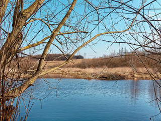 View of a small lake in the park in spring