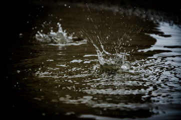 salpicadura de gotas de agua