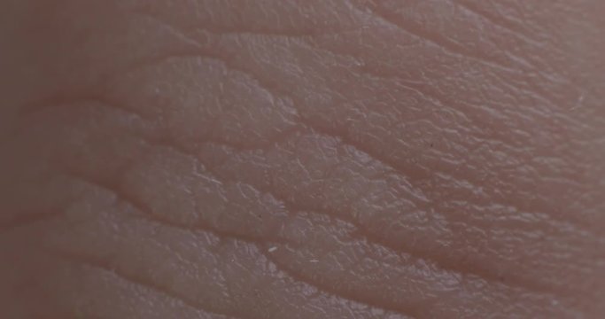 The texture of the skin. Human skin. Macro photo. Close up.