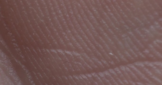 The texture of the skin on finger. Human skin. Macro photo. Close up.