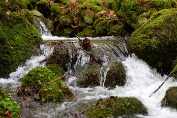 An der Quelle. Kleiner Wasserfall mit bemoosten Steinen