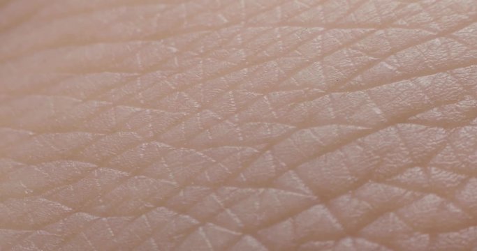 The texture of the skin. Human skin. Macro photo. Close up.