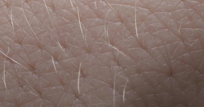 The texture of the skin. Human skin. Macro photo. Close up.