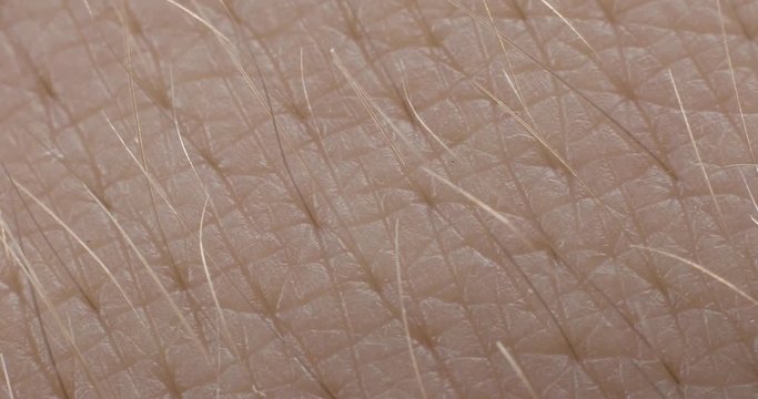 The texture of the skin. Human skin. Macro photo. Close up.