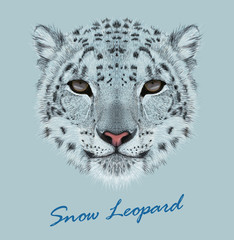 Naklejka na ściany i meble Snow leopard animal cute face. Vector Asian Irbis head portrait. Realistic fur portrait of snow wild spotted panther isolated on blue background.