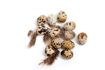 quail eggs and feathers isolated on white