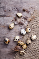 quail eggs and feathers on the aged wooden table