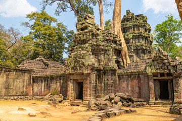 Fototapeta premium Cambodia Ta Prohm famous jungle giant tree roots embracing temples, revenge of nature against human buildings. Angkor thom complex at Siem Reap