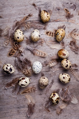 quail eggs and feathers on the aged wooden table