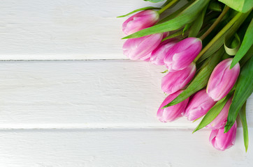 Row of pink tulips against a white wooden background with space for the text. Festive flower background for a Mother's Day or other celebration