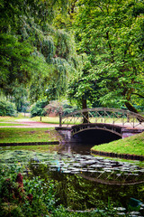 Old bridge over the canal in the mystical forest. As in fairy tales.