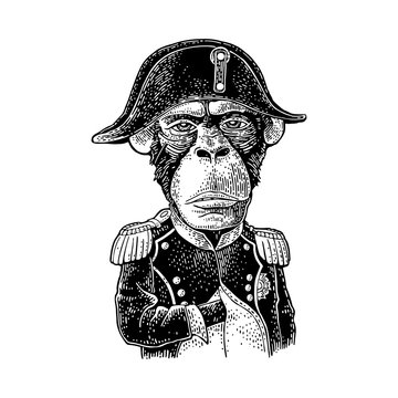 Monkey dressed in the french military uniform and cap. Vintage black engraving