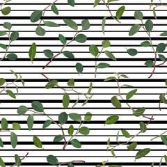 Seamless pattern of green leaves and branches of flowers tradiskantsaniya on a striped background. Vector