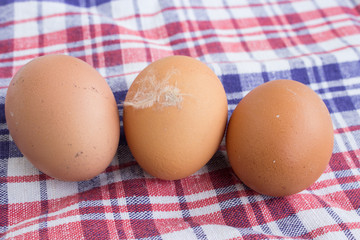 Fresh organic farm eggs on the table. Close-up.