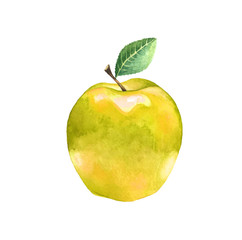 Watercolor yellow apple with leaf. Illustration of a sweet fruit on a white background. Isolated drawing.