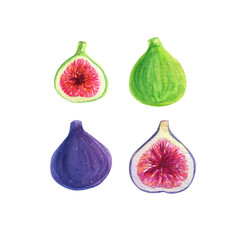Tropical fruits figs set watercolor. Perfect for wedding Aloha invitation, cards