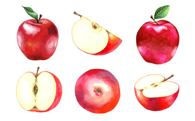 A collection of six watercolor red apples.