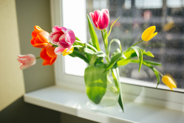 Flowers in the vase. Home sweet home. Sunny day. Beautiful spring. Bouquet on the women?s day.