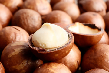 Macadamia nuts closeup