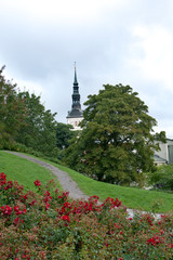Old city, Tallinn, Estonia.St. Nicholas' Church (Niguliste).