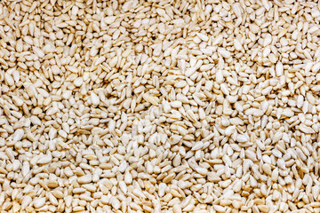 Sunflower seeds in the box inside of the shop.