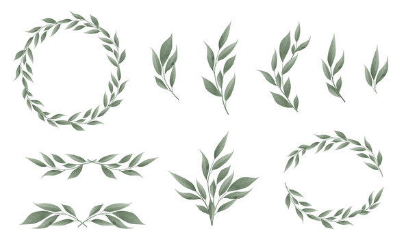 Vector designer elements set collection of greeng leaves herbs in watercolor style.