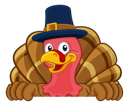 Pilgrim Turkey Thanksgiving bird animal cartoon character wearing a pilgrims hat. Peeking over a background sign 