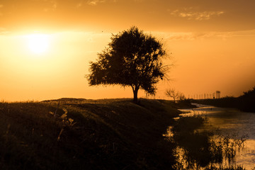 Sunset in the Chyornye Zemli (Black Lands) Nature Reserve, Kalmykia region, Russia.