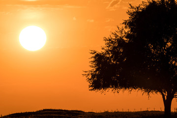 Sunset in the Chyornye Zemli (Black Lands) Nature Reserve, Kalmykia region, Russia.