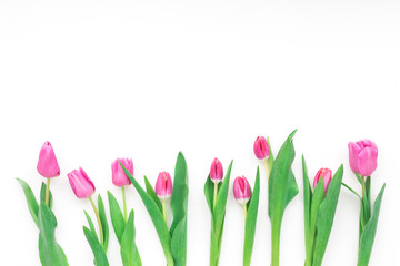 Spring flowers. Tulip on white background. Flat lay, top view