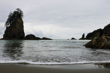 Beautiful view of the beach in the Olympic National Park, Washington, USA.