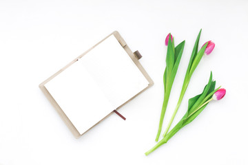Spring flowers. Tulip on white background. Flat lay, top view