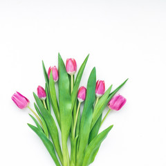 Spring flowers. Tulip on white background. Flat lay, top view